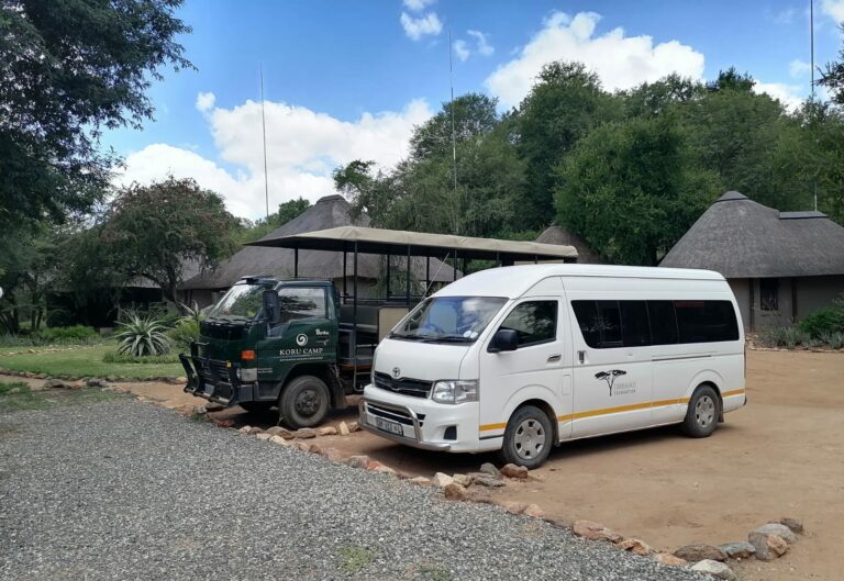 TF_Koru camp